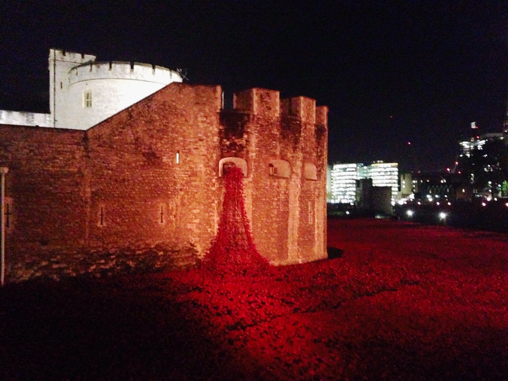 Blood Swept Lands and Seas of Red Tower of London Poppies
