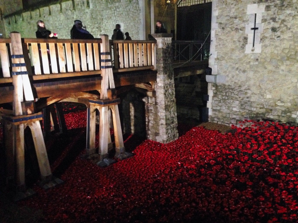 Blood Swept Lands and Seas of Red Tower of London Poppies