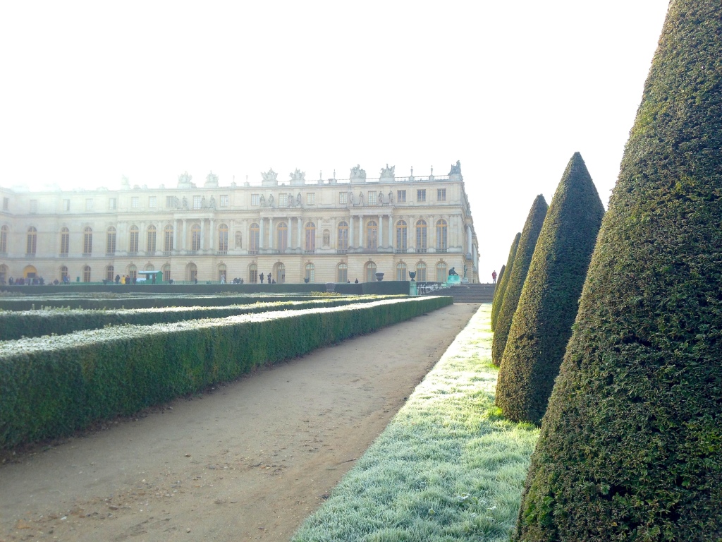 Palace of Versailles Paris_4