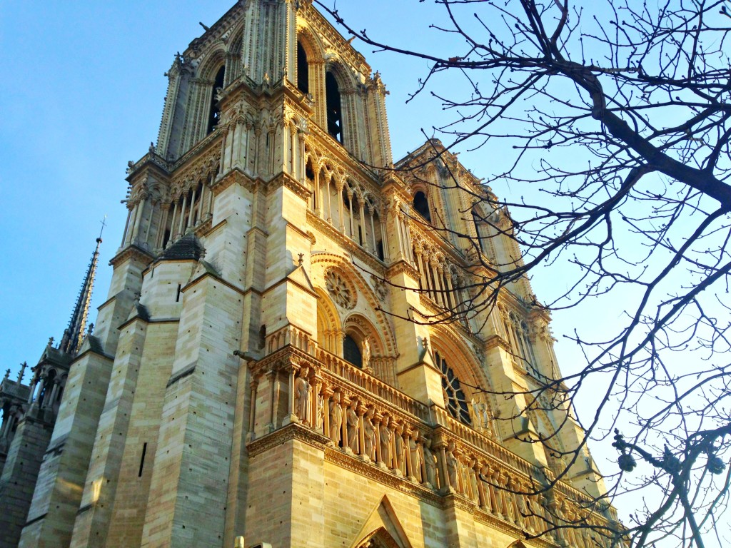 The Notre Dame_16