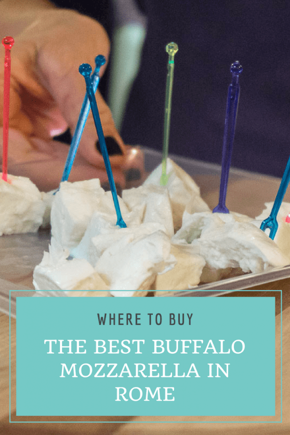 Where to Buy the Best Buffalo Mozzarella in Rome - I Formaggi di Gianni e Paola Pin 1